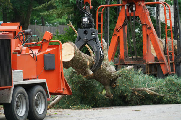 Best Weed Control  in Central Point, OR